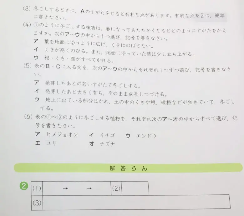 理科は不要？】Z会中学受験コース理科を受講した感想・体験談と